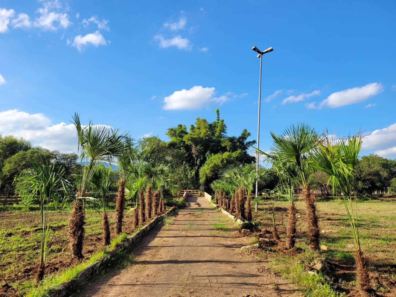 Revitalização da Área de Lazer Pérola do Vale avança