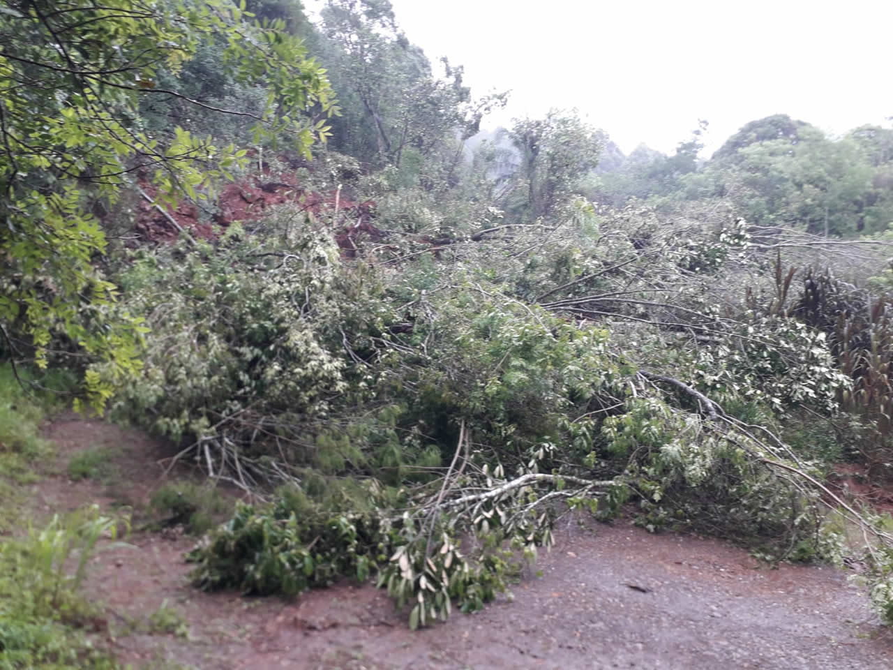 Acesso ao topo do Morro Gaúcho continua bloqueado