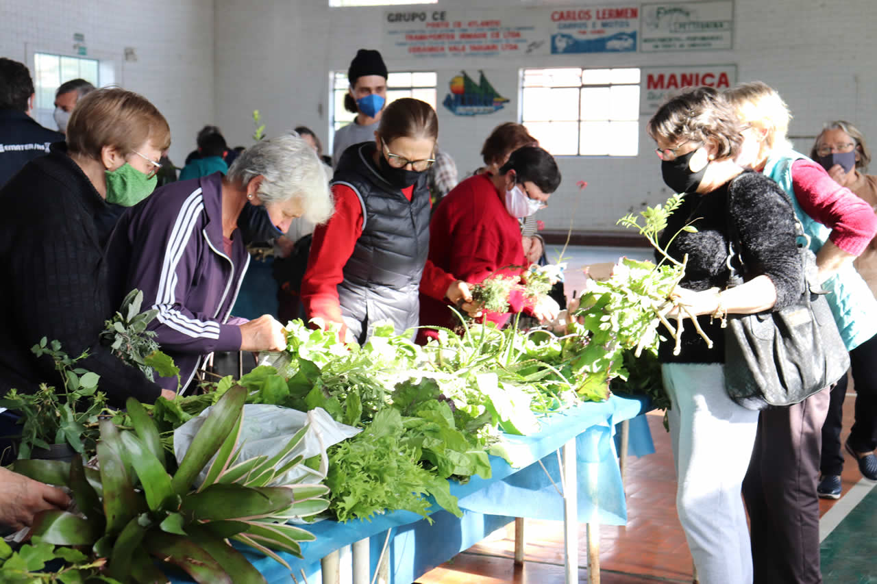 Município sedia Encontro de Sementes Crioulas