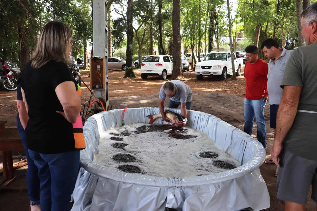 Feira do Peixe Vivo da Semana Santa ocorre nos dias 27 e 28 de março