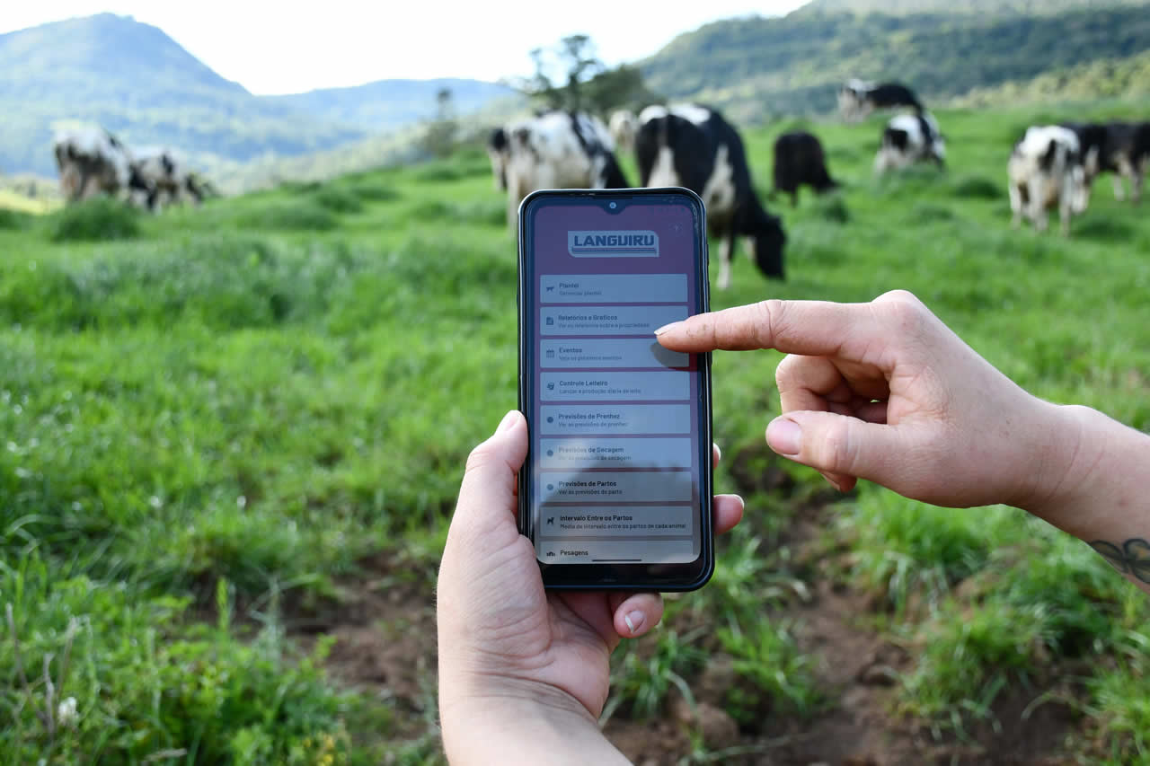 Aplicativo otimiza controle da produção leiteira