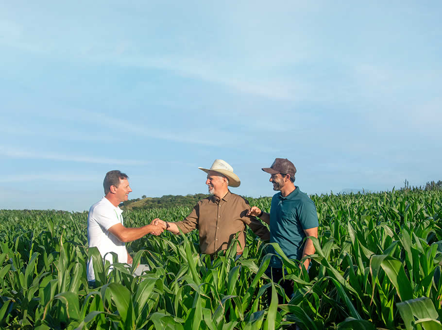 Sicredi Região dos Vales inicia operações do Plano Safra 2025/2026